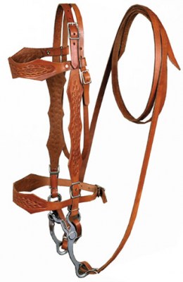 Bridles