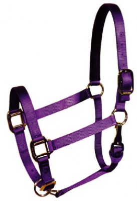 Nylon Halters