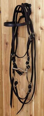 Colt/Arabian Brow Band Bridle