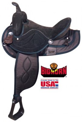 Big Horn 16