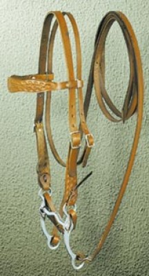 Brow Band Bridle