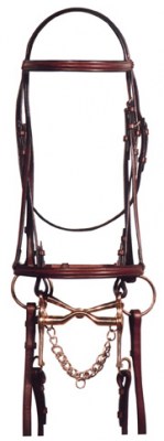 Chetak Double Bridle