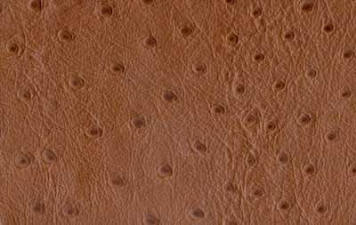 Dirty Brown Ostrich