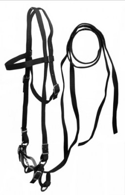 Nylon Bridle W/Curb Bit