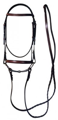 Plain Raised Bridle